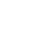 Decorative bird