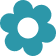 Inside star icon